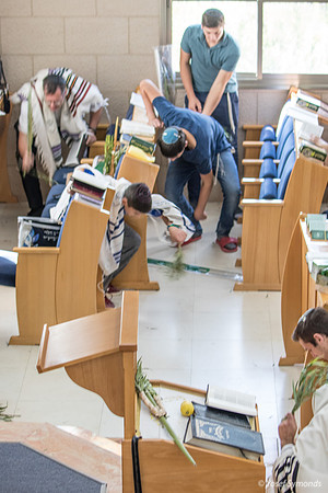 Beating the Aravot 191020-2