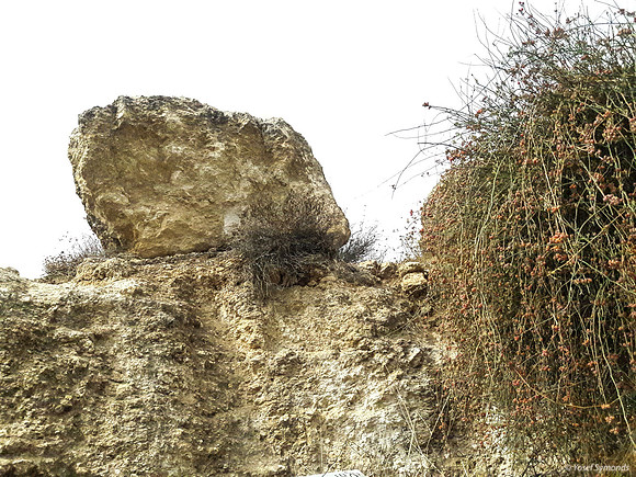 Rock Outcrop on Empty Lot 5
