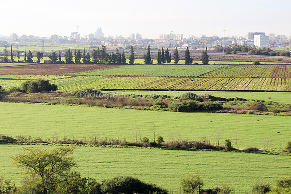 Agricultural Land Opposite Airport City 1