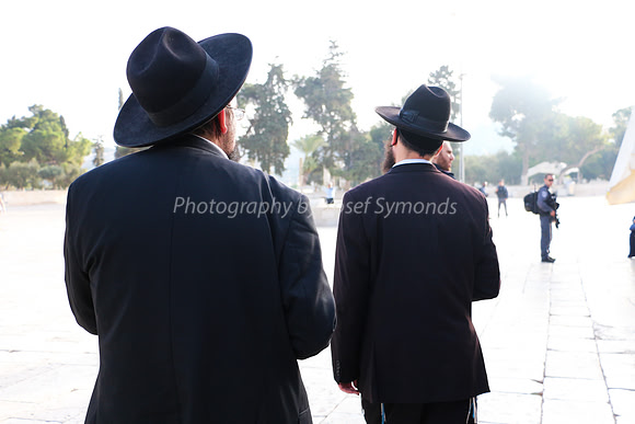 Walking in Contemplation 5