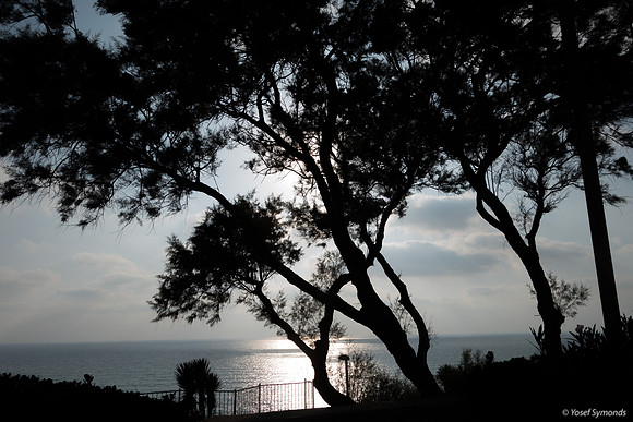 Seascape from Shaked Tayelet 190804-16