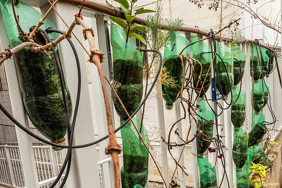 Ten Green Bottles Hanging On the Wall 250106-5
