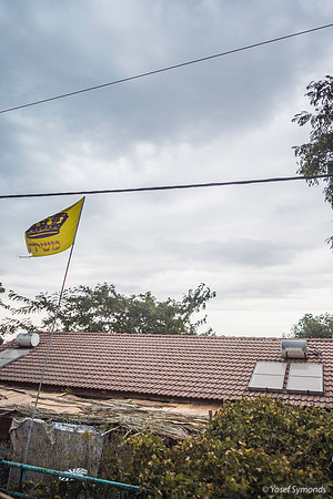 Chabad Sukkah Roof Yitzhar 191015-2