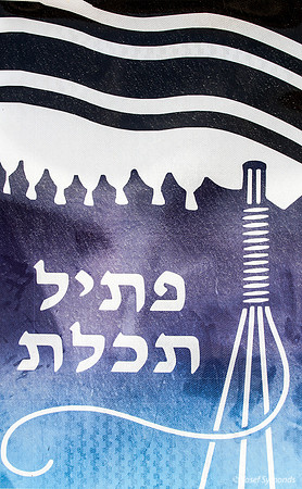 Ptil Tekhelet Logo