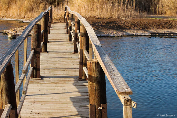 Bridge on Southern Lake 6