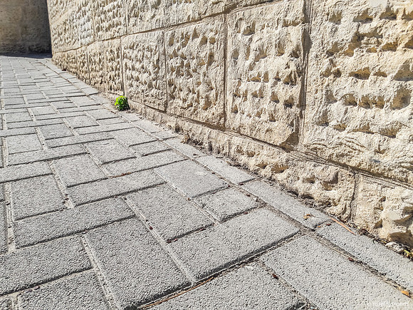 Sprouting from Hard Cracks 191112-1