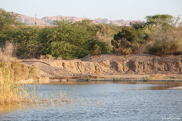 Lake Anita Looking West 5