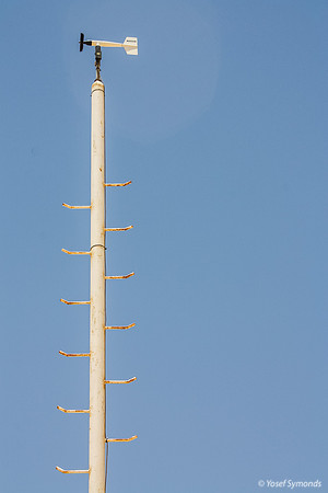 CSP Ancillary Equipment 100623-5