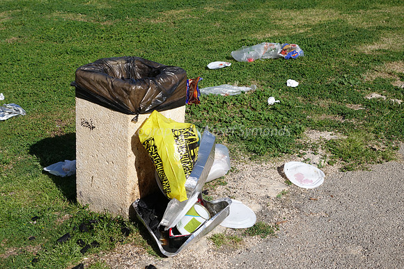 Garbage in Park RBSA 2
