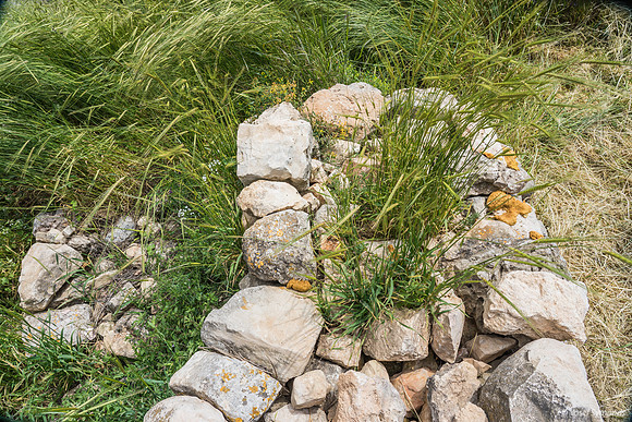 Wall at Amona 190423-1
