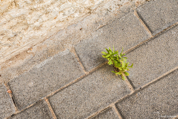 Cracks 190802-1