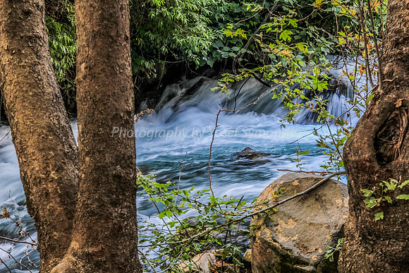 130528-Hula_Valley-2376-2