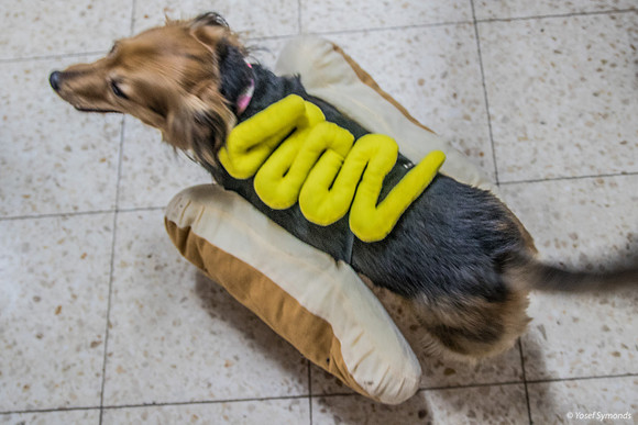 Purim Hot Dog 1