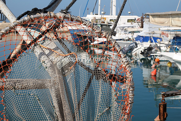 Jaffa Fishing Port
