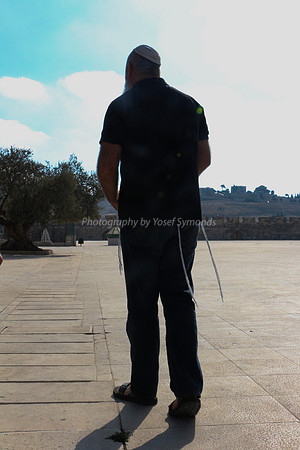 Guide Silhoutted