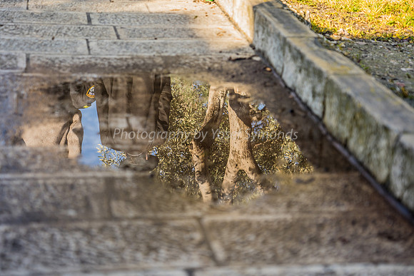 Reflection from Rain Puddle on East Side 190212-1