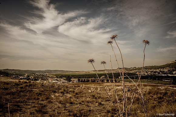 Looking South-West Kibbutz Tzora on Right 191121-2