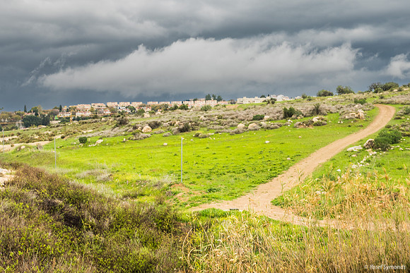 From Dan Boulevarde, Beit Shemesh 250321-6