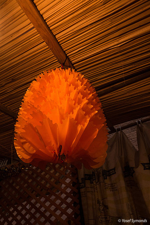 Red Sukkah Decoration 191017-6