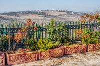 Zar Grounds View North 180927-24