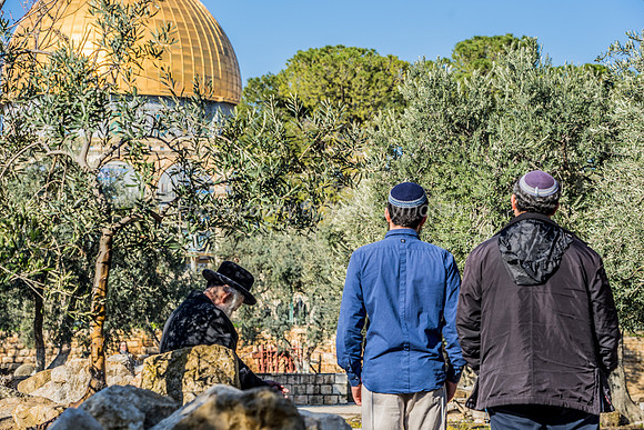 Contemplating in Front of the Dome of the Rock 190212-4