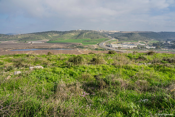 From Lupin Plateau View Across Kibbutz Netiv Halamed Hey with Ramat Beit Shemesh in Background 200216-1