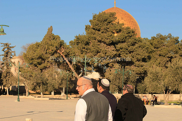 140209-HarHabayit-9827