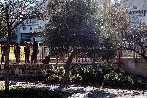 Boys in Park Ayalon 181225-1