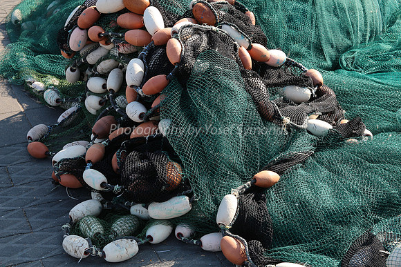 Jaffa Fishing Port