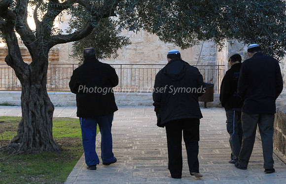 140209-HarHabayit-9878