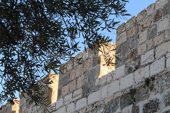 140209-HarHabayit-9873