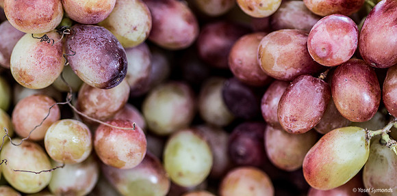 Grapes 171019-2