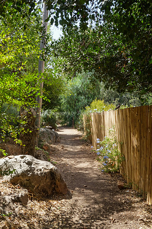 Link Path 9