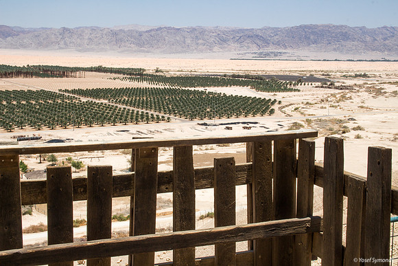 Kibbutz Produce 180605-8