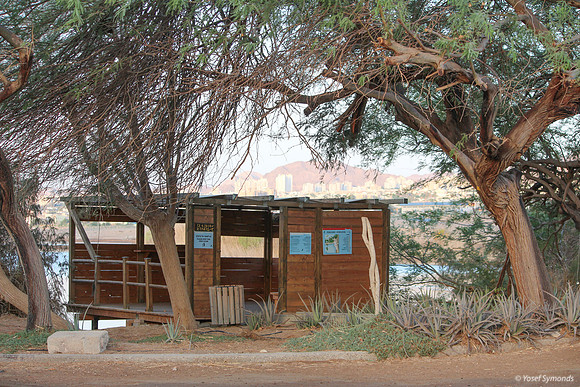 Birdwatching Hut - Eilat in Background
