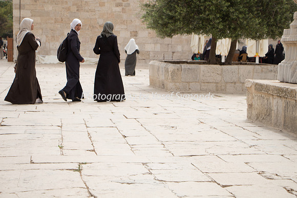 Temple Mount 140605 June 2014