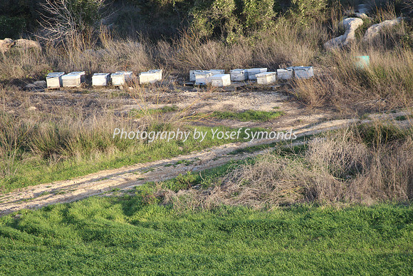 Mishkafayim 2013 Q1 Development Jan13-3