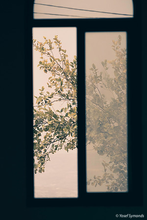 Synagogue Window 191015-3