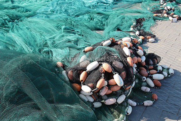Jaffa Fishing Port