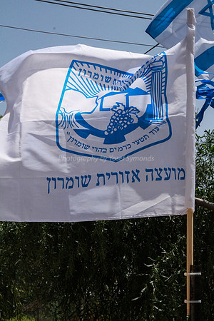 Shomron Flag 2
