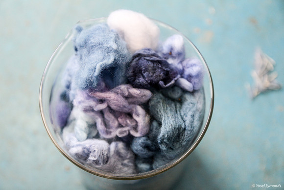 Wool Strands at Various Stages of Coloration Process 1