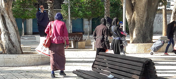 People of the Park