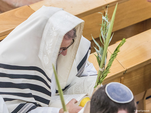 Hoshana Prayers 191020-4
