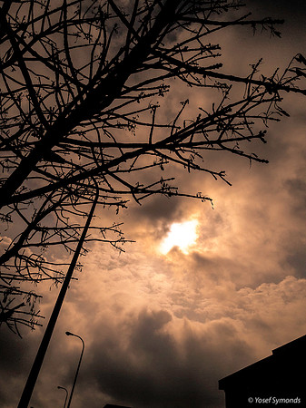 Sun Through the Clouds 191209-3