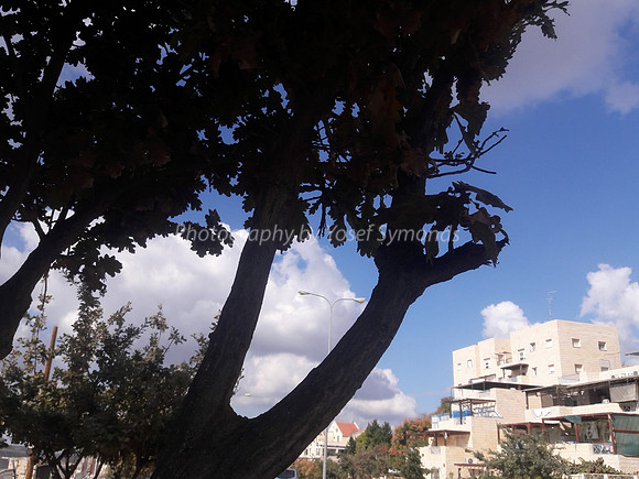 Bird's Eye View of Hayarkon Street RBSA 4