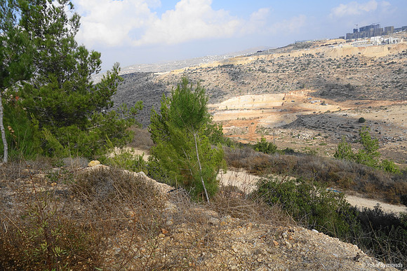 View from Ateret