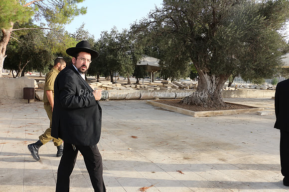 Hareidi and Soldier