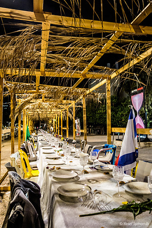 Sukkah Without Guests 241010-3