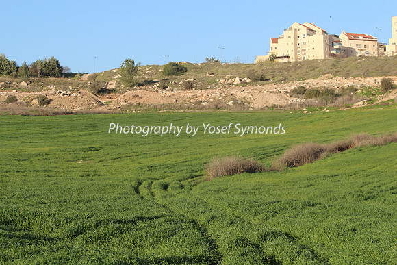 Mishkafayim 2013 Q1 Development Jan13-20