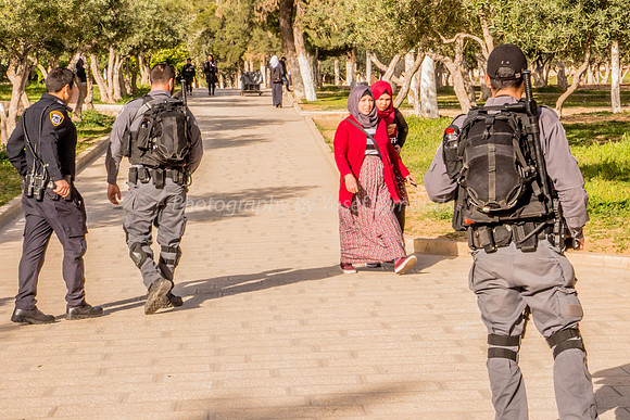 Plenty of Protection for Young Arab Ladies on Temple Mount